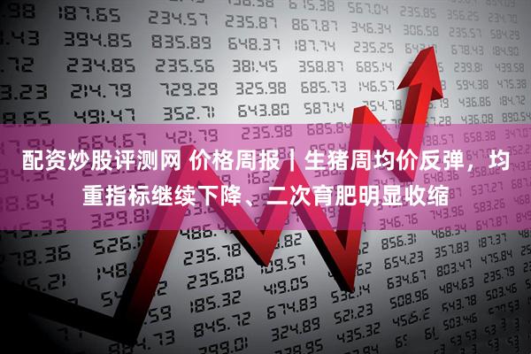配资炒股评测网 价格周报｜生猪周均价反弹，均重指标继续下降、二次育肥明显收缩