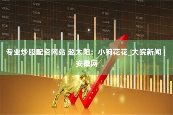 专业炒股配资网站 赵太阳：小狗花花_大皖新闻 | 安徽网