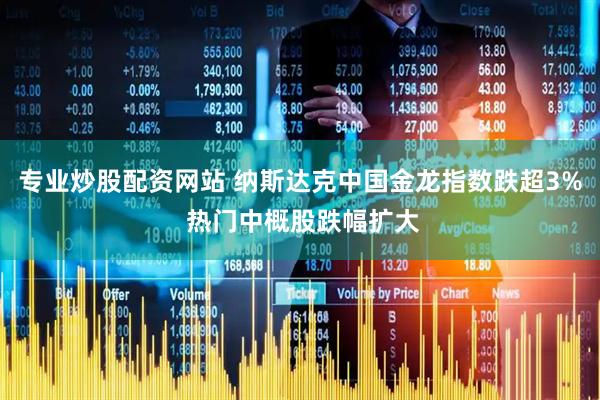专业炒股配资网站 纳斯达克中国金龙指数跌超3% 热门中概股跌幅扩大