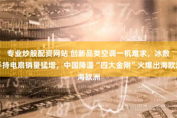 专业炒股配资网站 创新品类空调一机难求，冰敷手持电扇销量猛增，中国降温“四大金刚”火爆出海欧洲