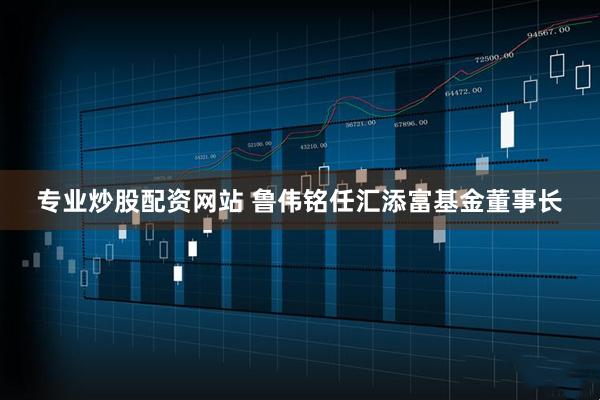专业炒股配资网站 鲁伟铭任汇添富基金董事长