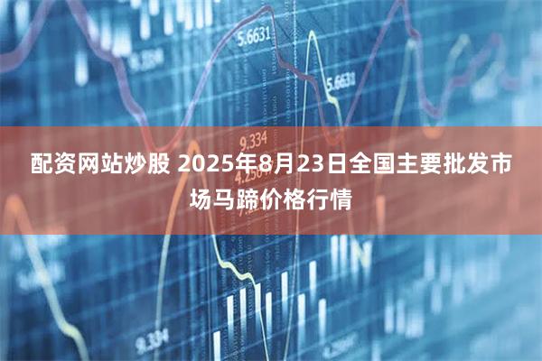 配资网站炒股 2025年8月23日全国主要批发市场马蹄价格行情
